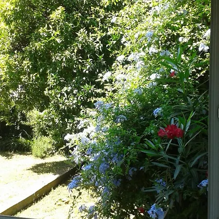 F2 En Rez De Jardin Apartment Cagnes-sur-Mer